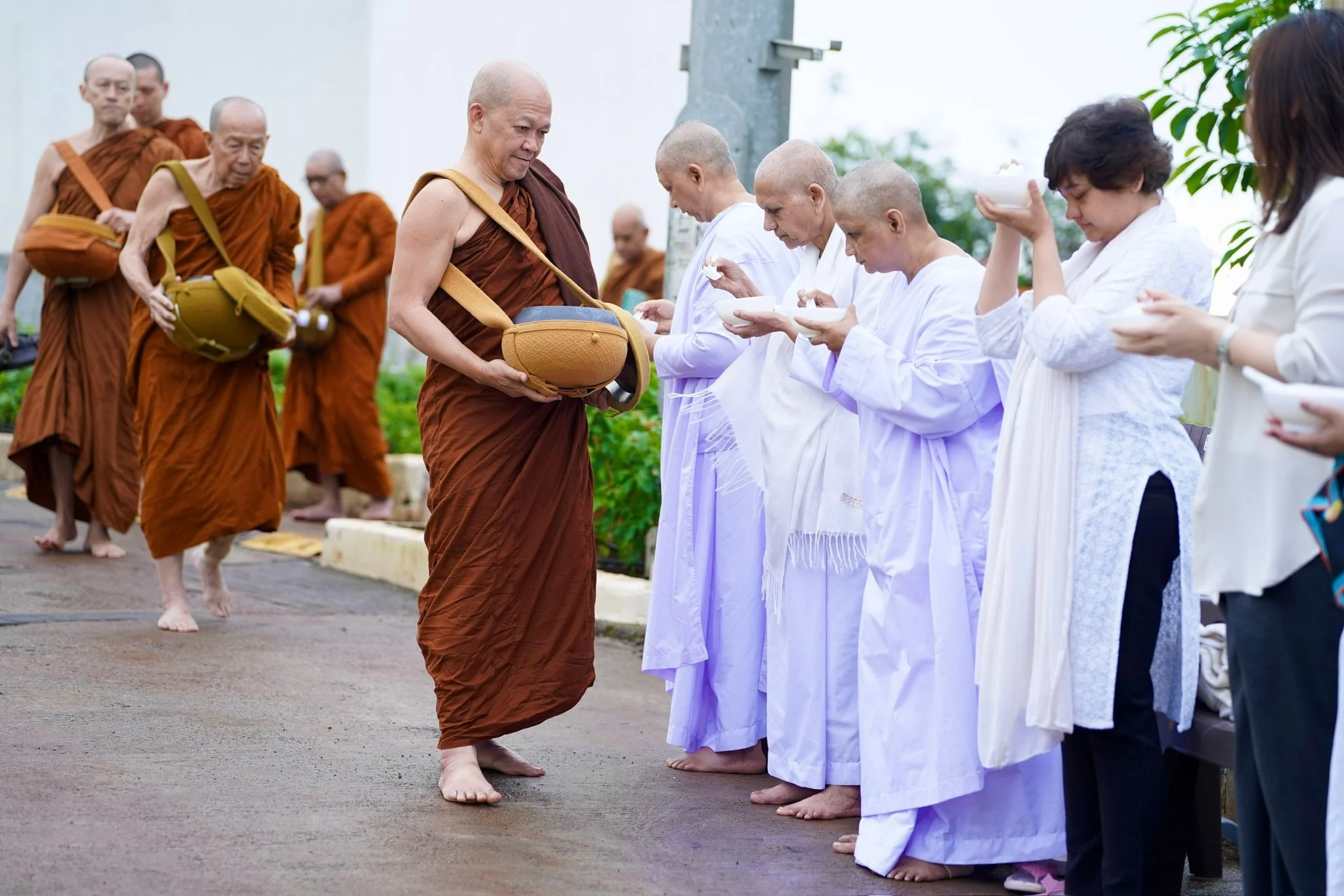 Monk